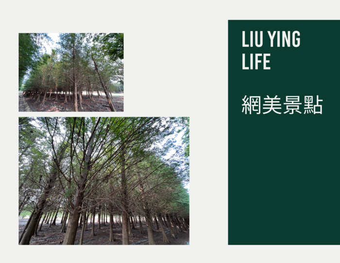周邊景點探索：怎麼拍都好看！