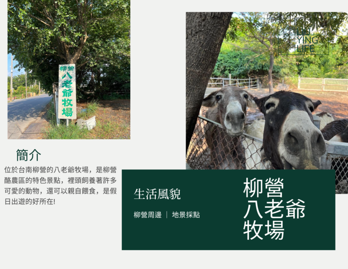 【在地寫讀專欄】八老爺牧場：出遊好所在