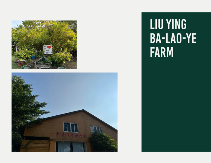 酪農產業發展：學校附近好好玩